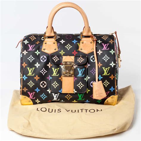 louis vuitton speedy multicolor|Louis Vuitton monogram bag.